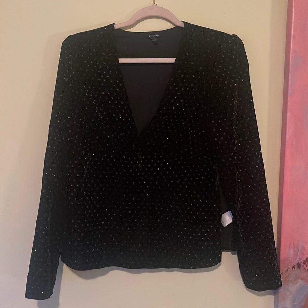 Black  velvet blouse from Express with sparkles